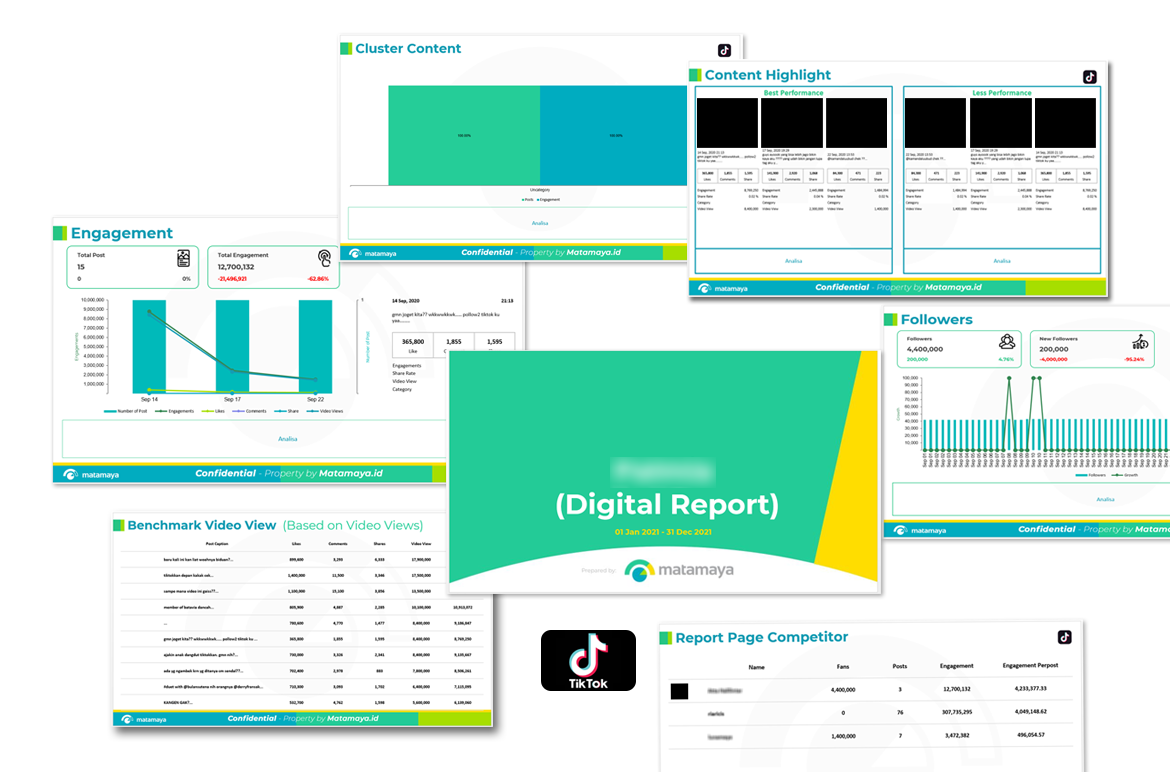 Instagram Analytics Report - Matamaya