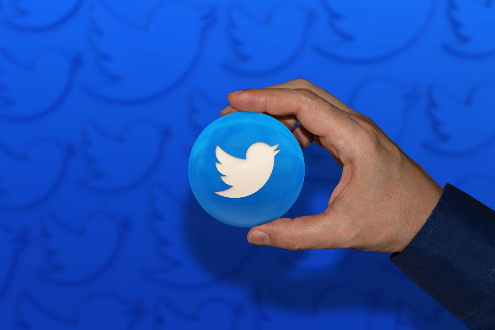 4 Tools Alternatif untuk Lacak Twitter Analytics Audience Insights - Analisis Performa Twitter - Matamaya