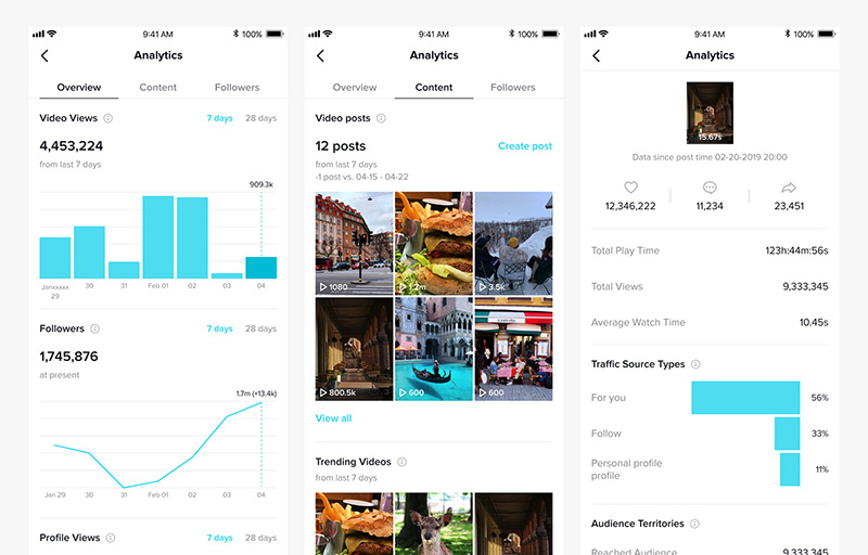 In-app TikTok Analytics Dashboard - Matamaya